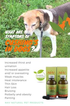 what is the best dry dog food for weight loss what is the best dry dog food for weight loss