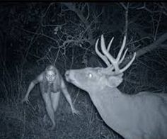 following the deer runaway h o r r o r pinterest
