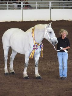 percheron draft horse draft horse barrel racing no 8 farms gray percheron horse flyers