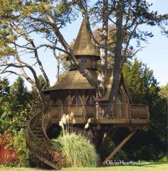 15 awesome tree house design ideas | awesome tree houses, tree 15 awesome tree house design ideas | awesome tree houses, tree