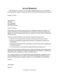 a concise and focused cover letter that can be attached to any cv