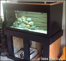 32 Best Aquariums Plywood Images Aquarium Fish Tank Diy Aquarium Fish Tank