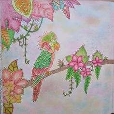 Take A Peek At This Great Artwork On Johanna Basfords Colouring Gallery Find Pin And More Magical Jungle Coloring Book