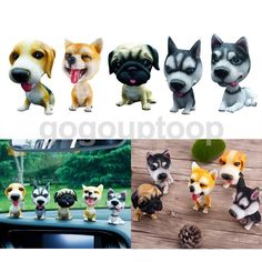 Dog Toys Ebay Home Garden Products Toy Puppies Dog Toys