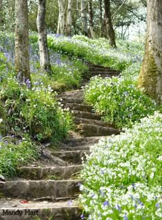 Pathways, Garden, Backyard, Dream Garden, Landscape, Cottage