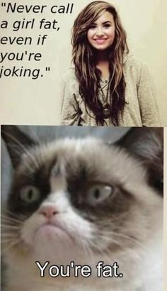 grumpy cat no i in team there's no \ cb8344d2db399ac4a62dd84dd3dba8da mr grumpy grumpy kitty grumpy cat no i in team there's no \