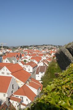 Casino skudeneshavn