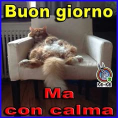 15 idee su Buon giorno | buongiorno immagini, buongiorno ...