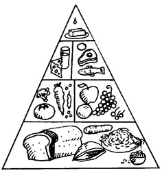 41 Ideas De Piramide Alimentos Pirámide De Los Alimentos Pirámide Alimentos