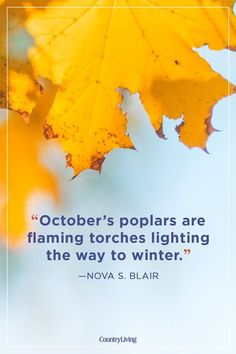 1668 Best Seasonal Sayings and Quotes images in 2019 1668 Best Seasonal Sayings and Quotes images in 2019