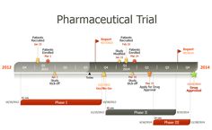 20 best timelines and gantt charts images office timeline