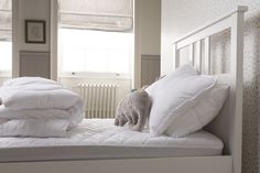 Cot The Fine Bedding Company Junior Washable Duvet 4.0 Tog