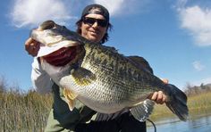 8 Best San Go Fishing Images On Pinterest Introduction To Fishing In San Go