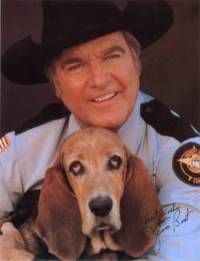 dukes of hazzard dog name dukes of hazzard dog name