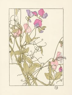 Asyura1984 Asyura1984 個人檔案 Pinterest Asyura1984 Asyura1984 個人檔案 Pinterest