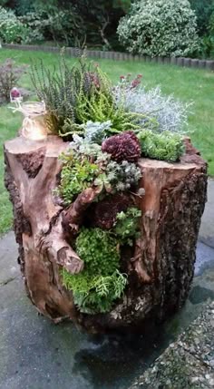 kuhle dekoration feuerstelle im garten gestalten, 675 besten frühling im garten bilder auf pinterest | floral, Innenarchitektur
