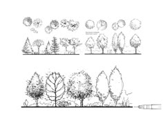 Architecture Drawing Trees architecture drawing trees inspiration ideas 14768 decorating Architecture Drawing Trees architecture drawing trees inspiration ideas 14768 decorating