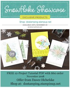 67 best snowflake showcase