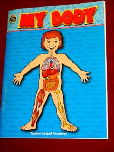 102 Best Human Body Images Science Classroom Science Lessons School