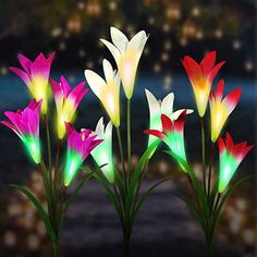 Solar Lichterkette Bunt 80 LEDs mit Farbwechsel Blumen Garten Deko warmweiß