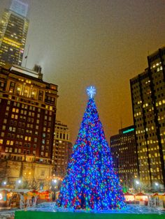 city hall christmas tree philadelphia pa 2016 philadelphia philadelphia christmas trees