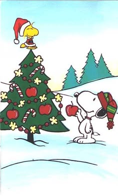 woodstock and snoopy decorating their christmas tree next year i plan on having charlie brown christmas tree it is simple and easy to take down after - Snoopy Christmas Decorations woodstock and snoopy decorating their christmas tree next year i plan on having charlie brown christmas tree it is simple and easy to take down after - Snoopy Christmas Decorations