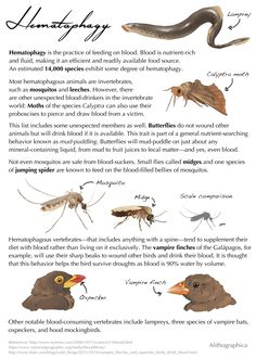 27 Best Vampire Bats Images Close Reading Bat Vampires Science Art And