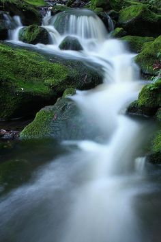 woodland streams waterfalls