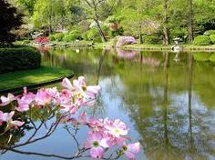 Free Download Images Of Nature Beauty Thru Windows Free Download Images Of Nature Beauty Thru Windows