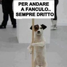 nero micio chiudere su Fanculo famoso cartone animato Hentai porno