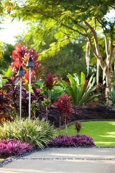 17 best purple ground cover images purple ground cover tropical landscape cover