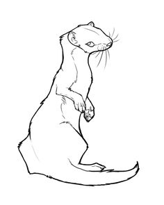 the 14 best free lineart images on pinterest draw dibujo and sketches