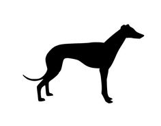Boutique Greyhound Silhouette in Black with Black Frame Greyhound art Boutique Greyhound Silhouette in Black with Black Frame Greyhound art