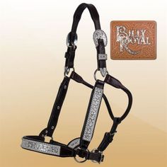 Showman Miniature Dark Oil Leather Showmanship Show Halter with Silver and Stars Showman Miniature Dark Oil Leather Showmanship Show Halter with Silver and Stars