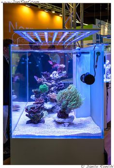8 best refugium images