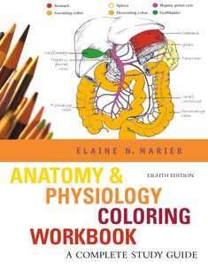 Image Result For Anatomy Physiology Coloring Workbook
