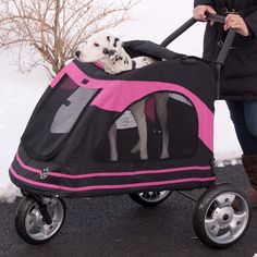 dog strollers petco dog strollers petco