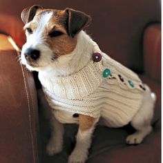 Christmas Sweaters for your Dog or Cat – knit and crochet – free patterns | Grandmother's Pattern Book