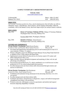 cover letter template 16 year old 1 cover letter template pinterest sample physician cv