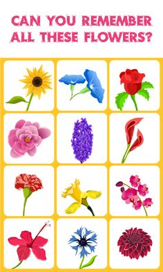 It is a picture of Exhilarating Memory Games for Seniors Printable It's just a photo of Exhilarating Memory Games for Seniors Printable