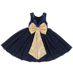 iixpin Infant Baby Sleeveless Bowknot Lace Embroidered Tiered Flower Girl Dress Bridesmaid Wedding Baptism Formal Ball Gown