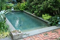 26 Splash Pools Ideas Small Pools Plunge Pool Pool Designs