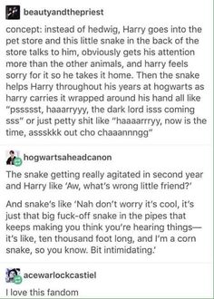 THIS IS THE BEST FUCKING THING EVERRRRRRRR 3 I Love Talking Snakes Dream