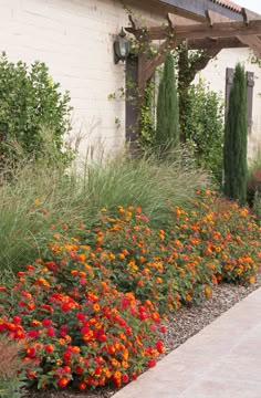 130 Hill Country Landscaping Ideas Country Landscaping Hill Country Hill Country Homes