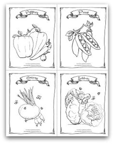 Free Printable Garden Peppers Peas Onions And Lettuce Coloring Activity Page For