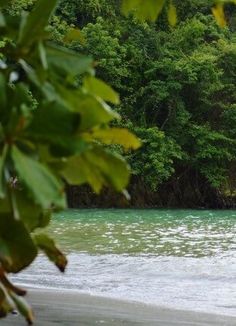 7 Off The Beaten Path Things To Do Near Manuel Antonio 7 Off The Beaten Path Things To Do Near Manuel Antonio