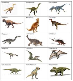 image result for dinosaurs pictures and names for kids elijah mine dinosaur chart with names