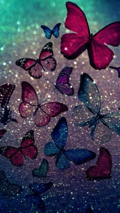 2221 Best Butterfly Wallpaper Images In 2019 Butterflies