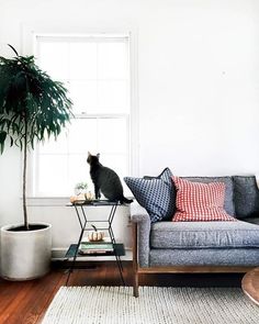 Camille Carter Camillec0666 On I Ve Been Working With On This Room That Is Opposite Our Living Because Sometimes Just Need A Second Opinion And Some Help Making Decisions