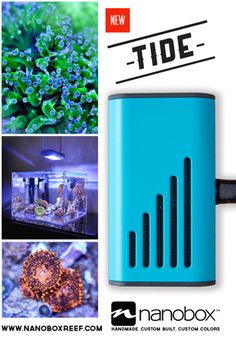 69 best aquariums images